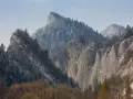 Zimowy krajobraz skalnych szczytów i lasów w Pieninach Słowackich. Śnieg pokrywa drzewa i zbocza gór.