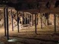 Tarnowskie Góry: Co warto zobaczyć? Przewodnik po UNESCO i nie tylko!