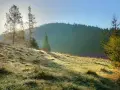 Stare Wierchy: Szlaki, widoki, schronisko zaplanuj idealną wycieczkę