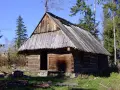 Drewniana pasterka w lesie, z otwartymi drzwiami i kamiennym fundamentem. Otoczona drzewami i zieloną trawą.