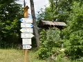 Góra Parkowa Krynica: Czas wejścia, szlaki, kolejka planuj spacer!