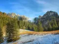 Zimowy szlak na Ornaka z Doliny Kościeliskiej. Śnieg i trawa na stoku, gęsty las świerkowy i skaliste szczyty w tle.