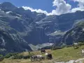 Krowy pasące się na zielonym zboczu w majestatycznym Cirque de Gavarnie. W tle widać potężne góry i wodospad.