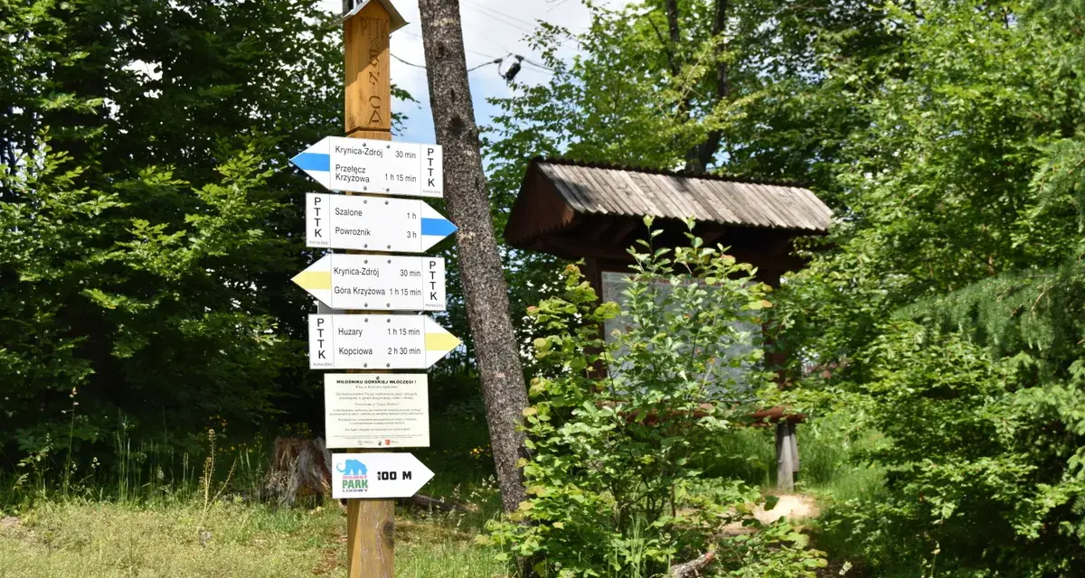 Góra Parkowa Krynica: Czas wejścia, szlaki, kolejka planuj spacer!