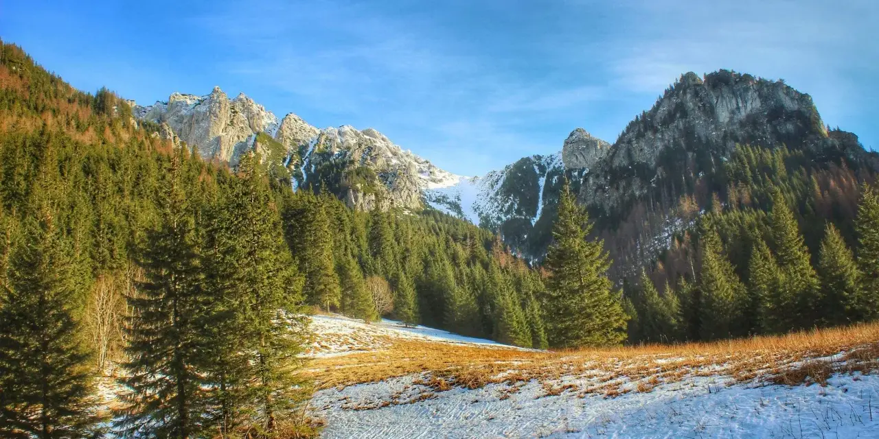 Zimowy szlak na Ornaka z Doliny Kościeliskiej. Śnieg i trawa na stoku, gęsty las świerkowy i skaliste szczyty w tle.