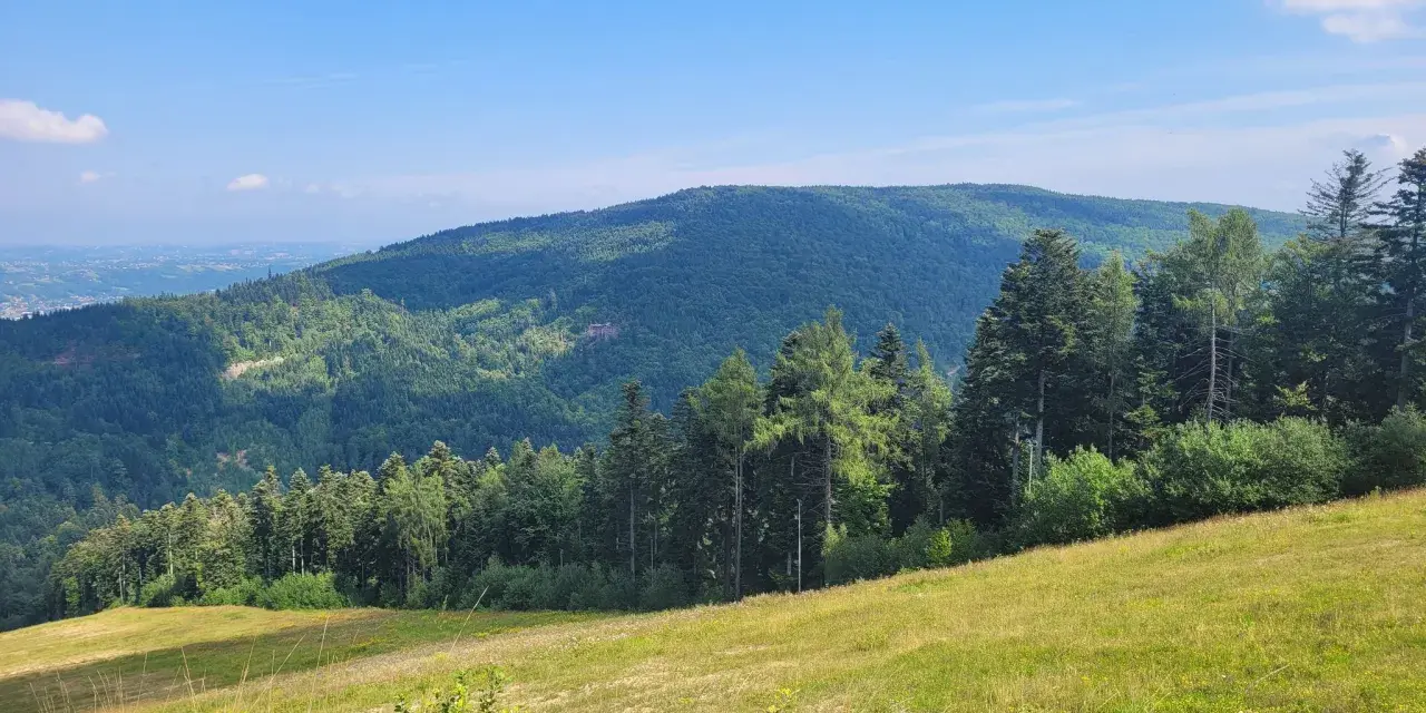 Zielone, zalesione wzgórza Myślenic pod błękitnym niebem. Słoneczna polana na pierwszym planie.