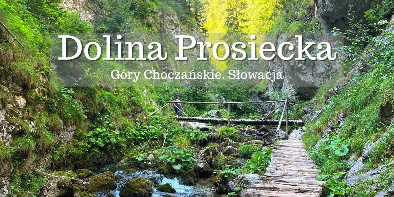 Malownicza ścieżka przez Dolinę Prosiecką w Górach Choczańskich. Drewniany mostek nad potokiem, skalne ściany porośnięte zielenią.