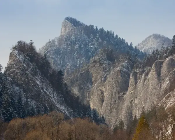 Zimowy krajobraz skalnych szczytów i lasów w Pieninach Słowackich. Śnieg pokrywa drzewa i zbocza gór.