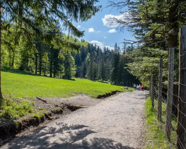 Bacówka na Polanie Biały Potok: Skosztuj Tatr! Sery, dojazd, porady