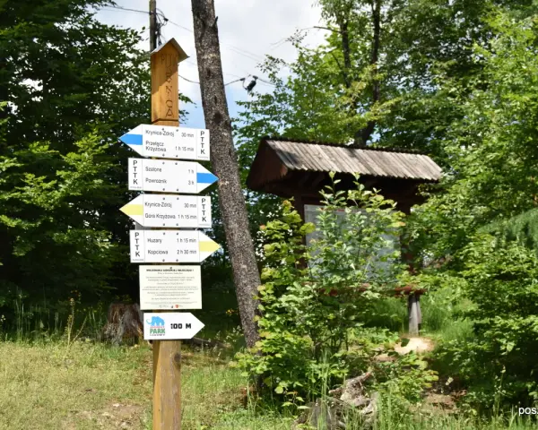 Góra Parkowa Krynica: Czas wejścia, szlaki, kolejka planuj spacer!