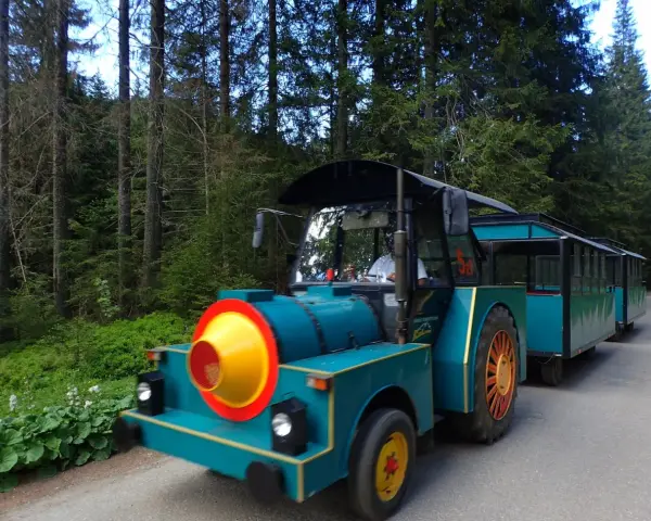Turkusowa ciuchcia z wagonikami w Dolinie Chochołowskiej. Sprawdź dolina chochołowska kolejka cennik, by poznać ceny przejazdu.