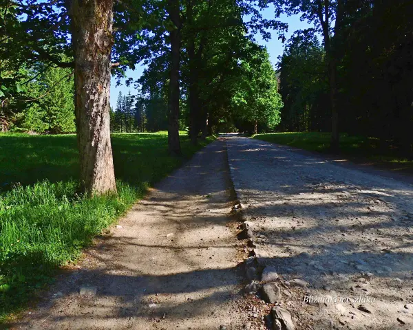Bacówka w Dolinie Kościeliskiej: Autentyczny smak Tatr i praktyczne porady