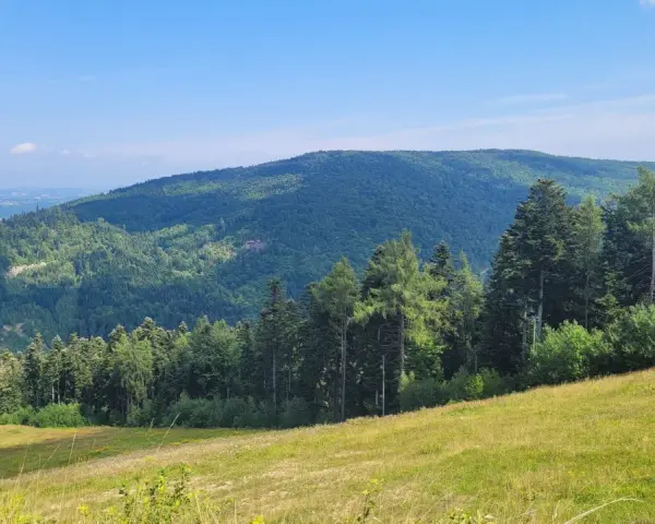 Zielone, zalesione wzgórza Myślenic pod błękitnym niebem. Słoneczna polana na pierwszym planie.