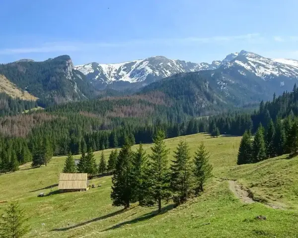 Piękne podkarpackie góry z ośnieżonymi szczytami, zielonymi halami i lasami. Na pierwszym planie drewniana szopa.
