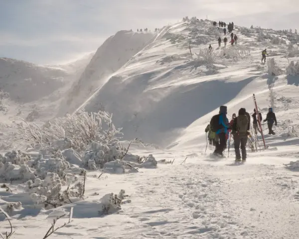 Zawoja: Jakie góry? Beskid Żywiecki i szlaki na Babią Górę czekają!