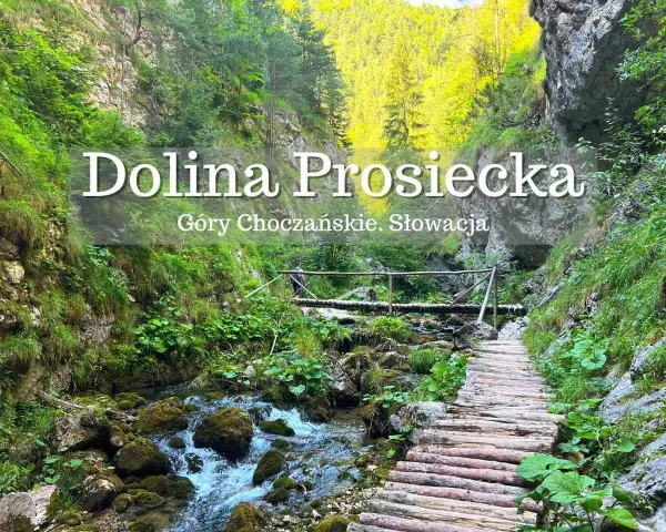 Malownicza ścieżka przez Dolinę Prosiecką w Górach Choczańskich. Drewniany mostek nad potokiem, skalne ściany porośnięte zielenią.