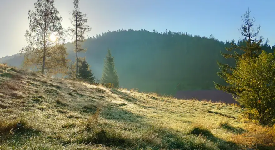 Stare Wierchy: Szlaki, widoki, schronisko zaplanuj idealną wycieczkę