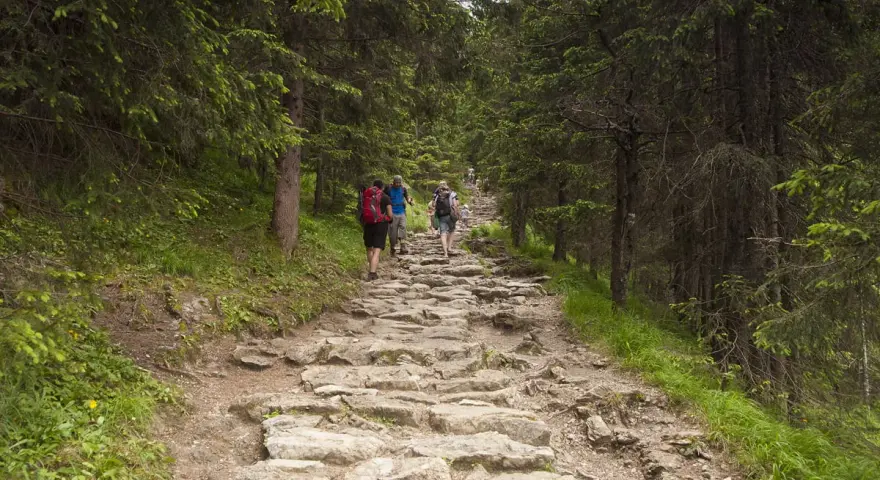 Kamienista ścieżka w lesie, turyści wędrują przez dolinę Jaworzynki.