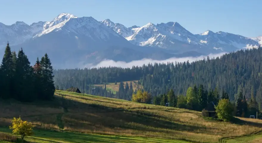 Malowniczy wjazd na Gubałówkę. Zielone łąki, las i ośnieżone szczyty Tatr w tle.