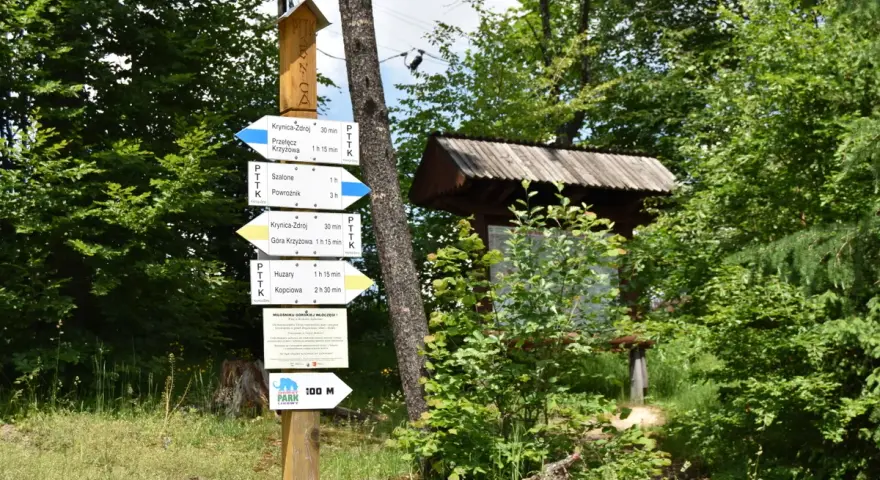 Góra Parkowa Krynica: Czas wejścia, szlaki, kolejka planuj spacer!
