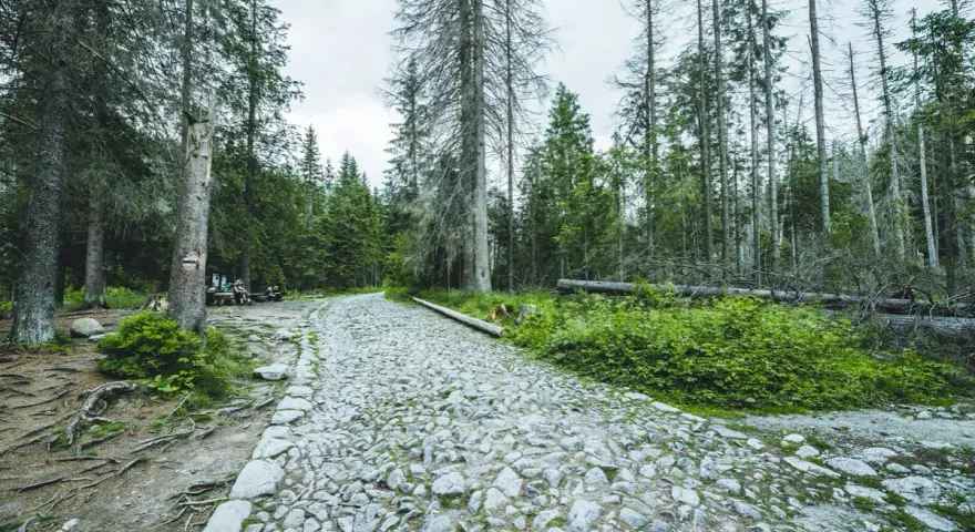 Kamienista ścieżka przez las, z tabliczką informującą, że szlak z brzezin do murowańca zamknięty. W oddali widać grupę osób odpoczywających przy ławce.