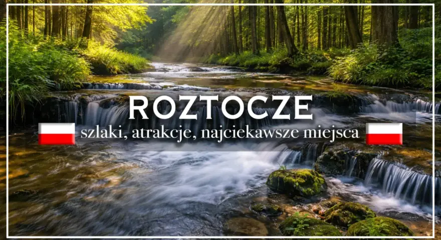Roztocze: szlaki, atrakcje, najciekawsze miejsca. Malowniczy potok w lesie, idealny na wycieczkę.
