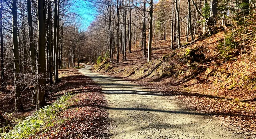 Bacówka na Muńcole: Przewodnik po Beskidzkim Azylu z Widokiem na Tatry