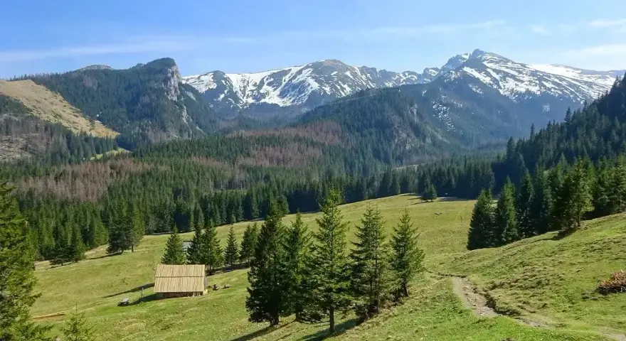 Piękne podkarpackie góry z ośnieżonymi szczytami, zielonymi halami i lasami. Na pierwszym planie drewniana szopa.