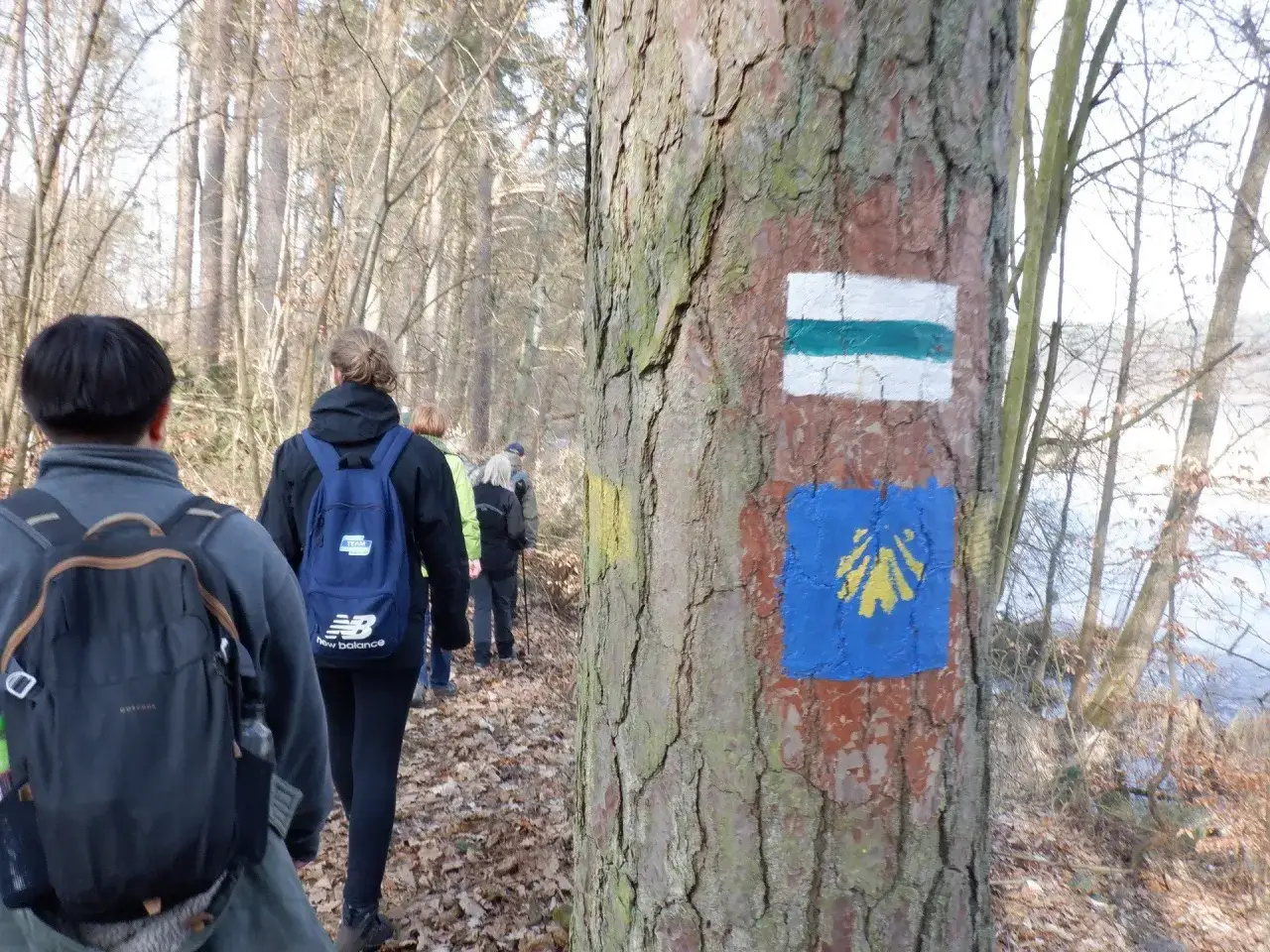 Rodzaje znaków szlaków turystycznych PTTK