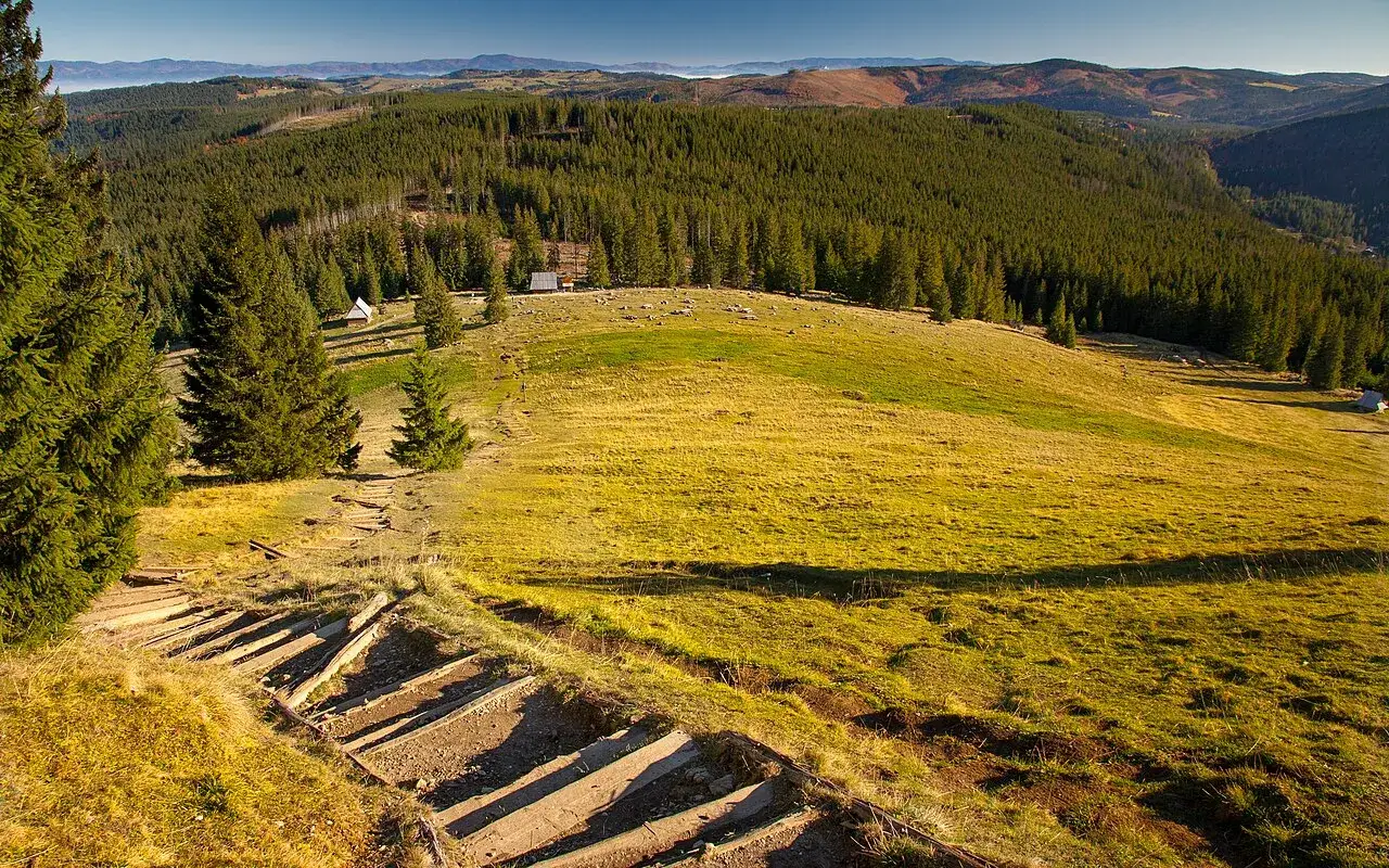 Rodzina na Rusinowej Polanie z widokiem na Tatry Wysokie