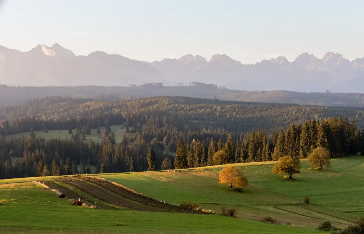 Wierch Rusiński panorama Tatr