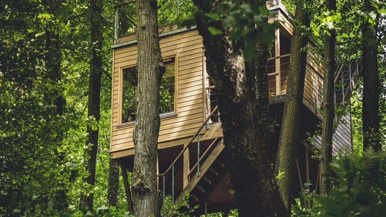 glamping w Polsce lub domki na drzewie