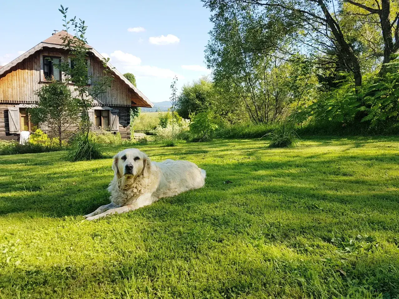 Bieszczady noclegi z psem szlaki