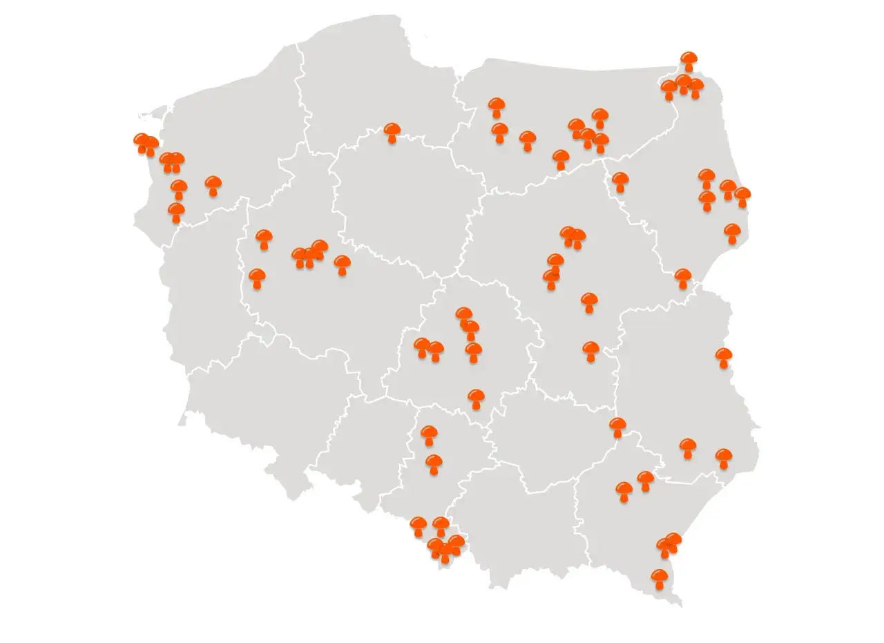 Mapa Polski regiony grzybowe